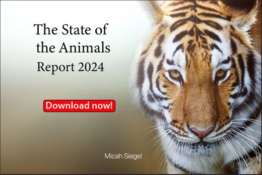 The State of the Animals Report
